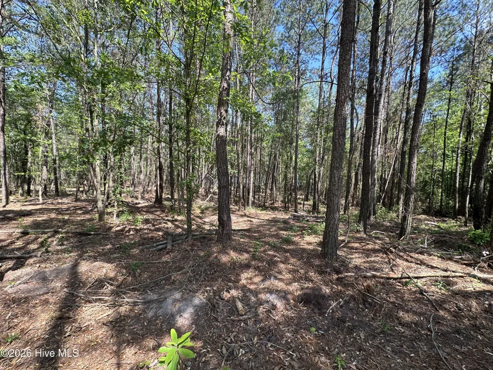 28 Hillside Lane Clinton, NC 28328