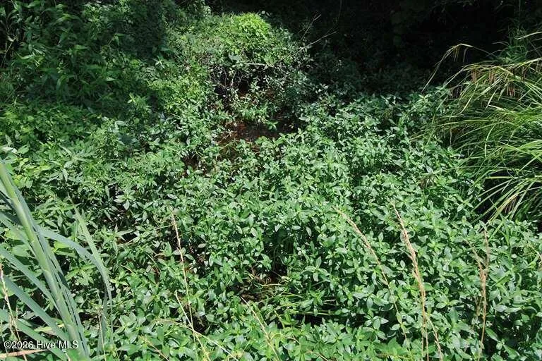 0 River North Road Camden, NC 27921