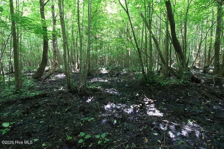 0 River North Road Camden, NC 27921