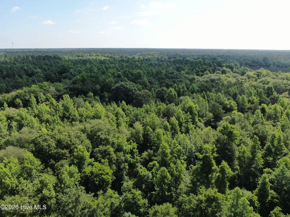 Tbd Oliver Carlton Road Warsaw, NC 28398