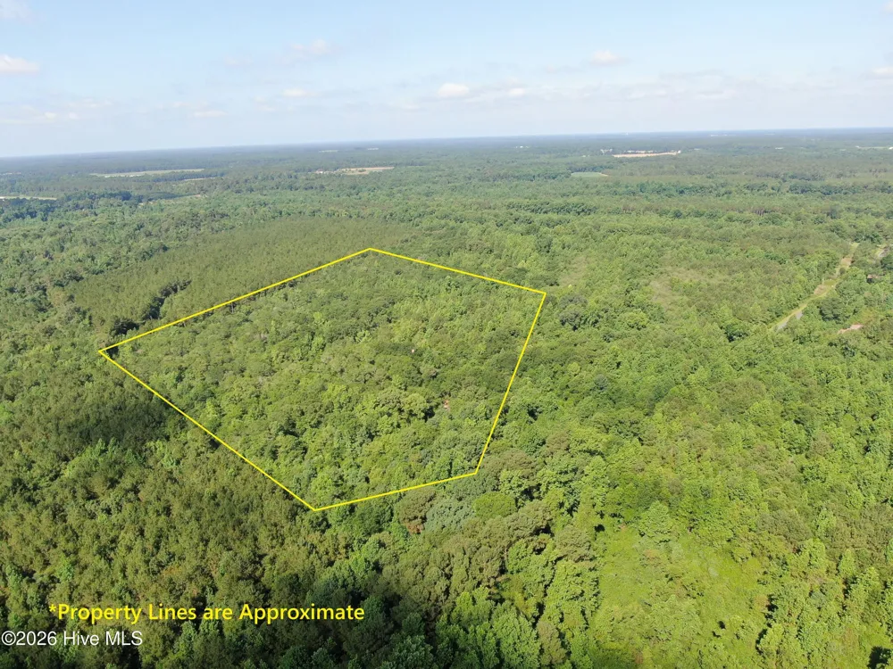 Tbd Oliver Carlton Road Warsaw, NC 28398