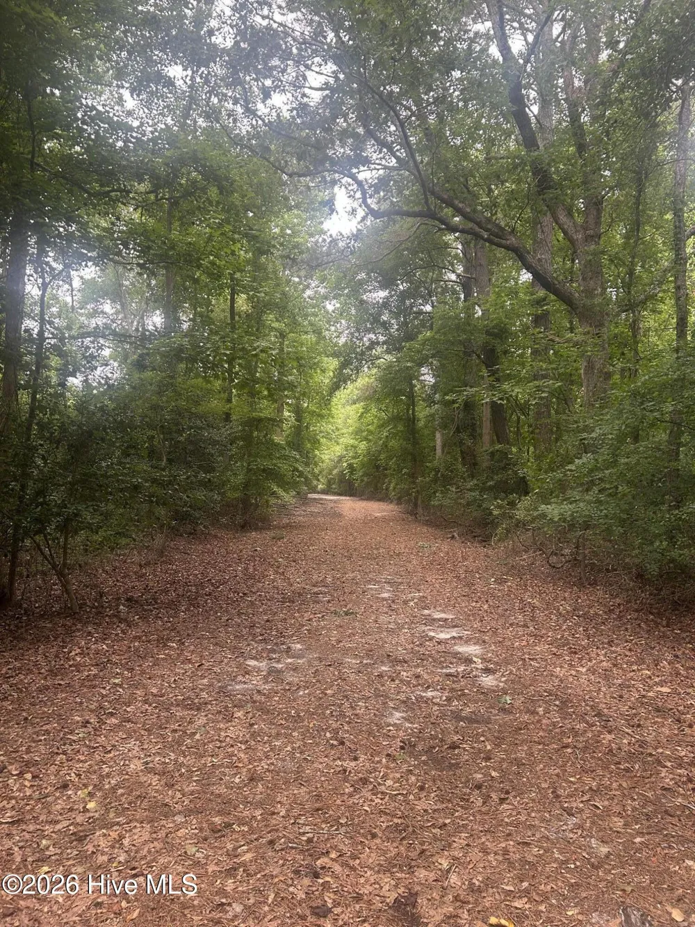 Tbd Oliver Carlton Road Warsaw, NC 28398