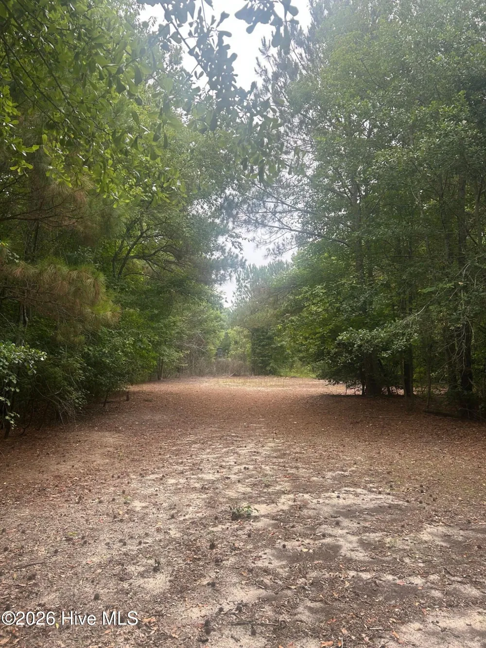 Tbd Oliver Carlton Road Warsaw, NC 28398