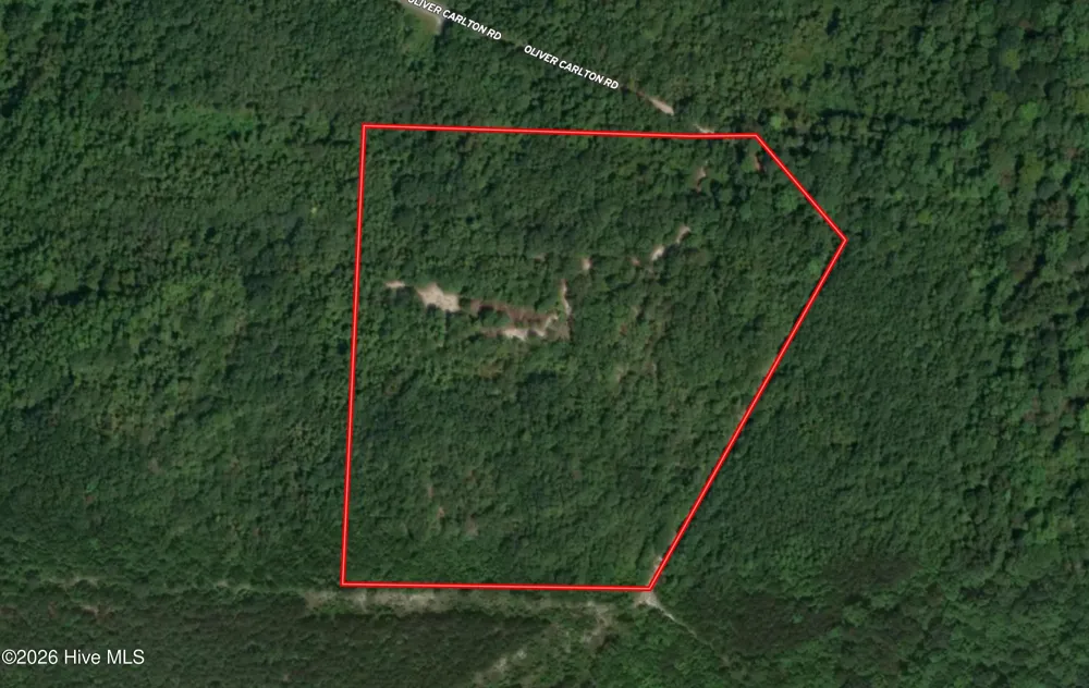 Tbd Oliver Carlton Road Warsaw, NC 28398