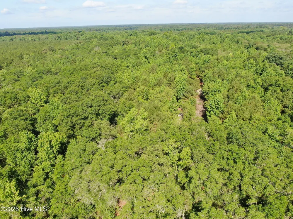 Tbd Oliver Carlton Road Warsaw, NC 28398