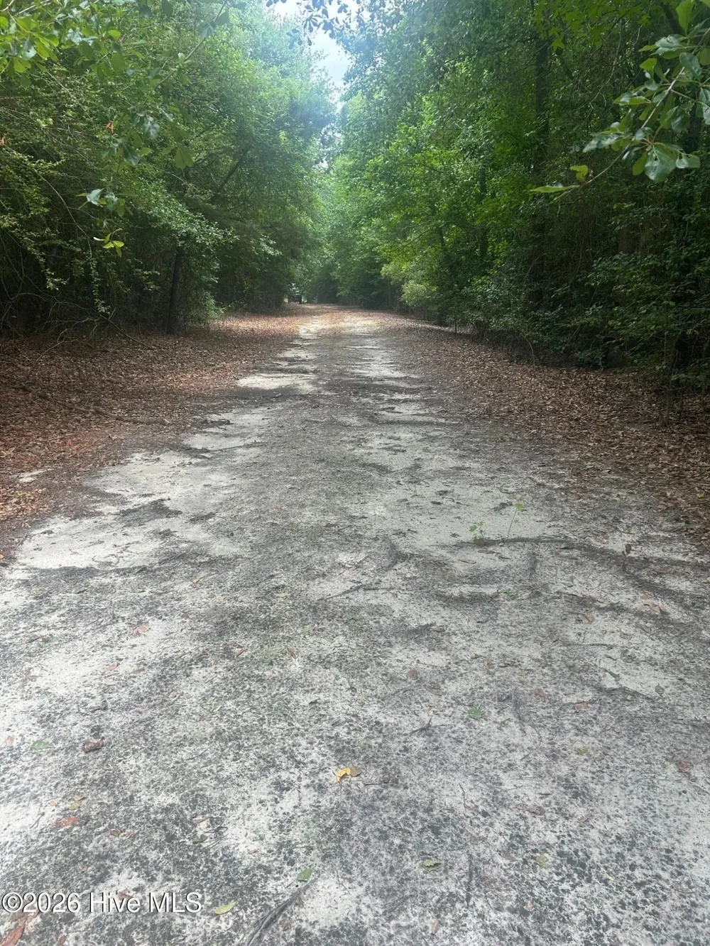 Tbd Oliver Carlton Road Warsaw, NC 28398