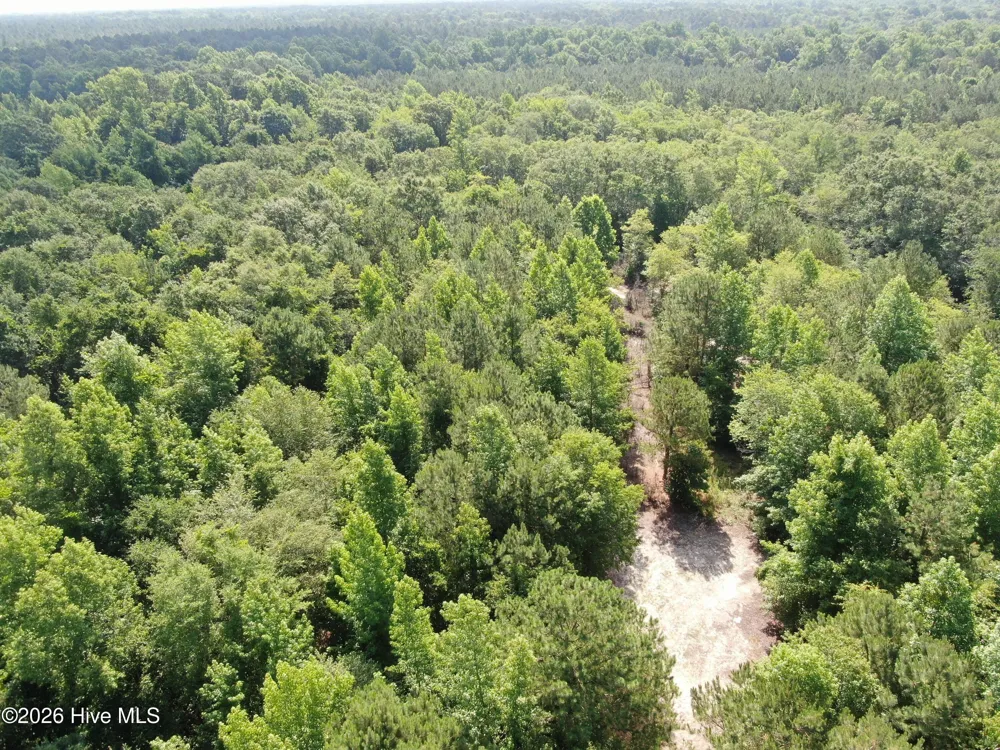 Tbd Oliver Carlton Road Warsaw, NC 28398