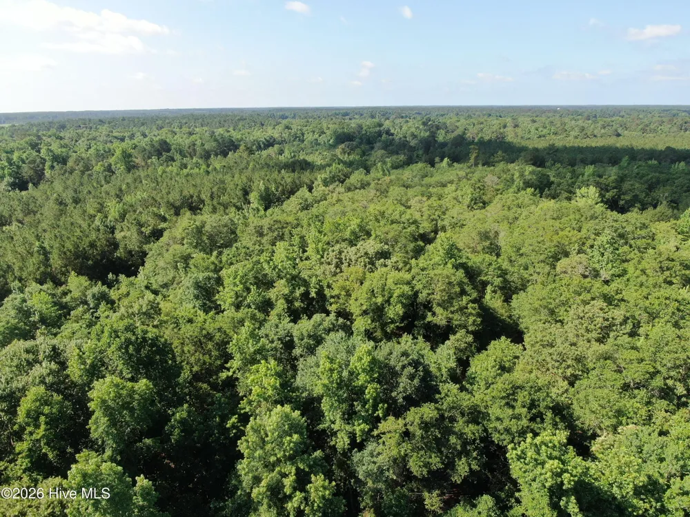 Tbd Oliver Carlton Road Warsaw, NC 28398