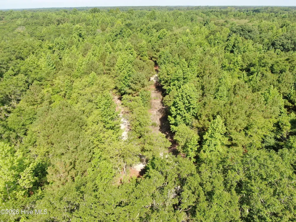 Tbd Oliver Carlton Road Warsaw, NC 28398