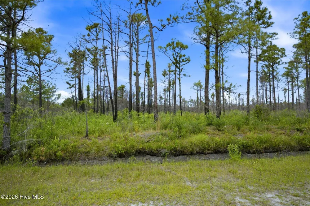 10 Acres Address Tbd Boiling Spring Lakes, NC 28461