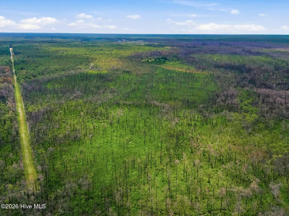 10 Acres Address Tbd Boiling Spring Lakes, NC 28461