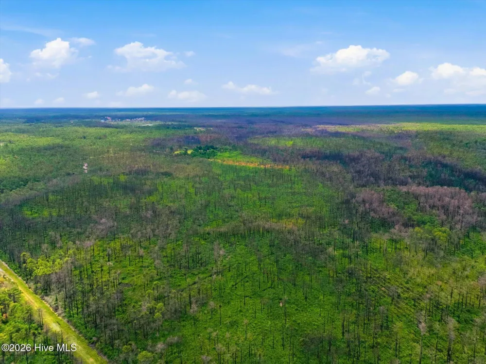 10 Acres Address Tbd Boiling Spring Lakes, NC 28461