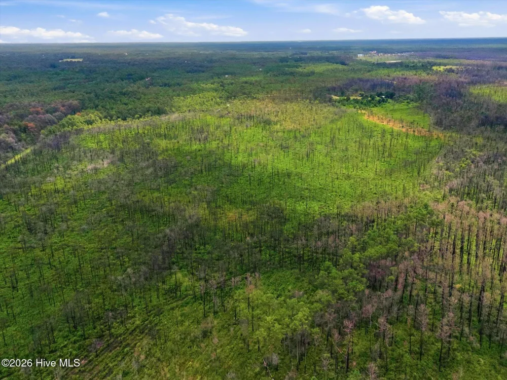 10 Acres Address Tbd Boiling Spring Lakes, NC 28461