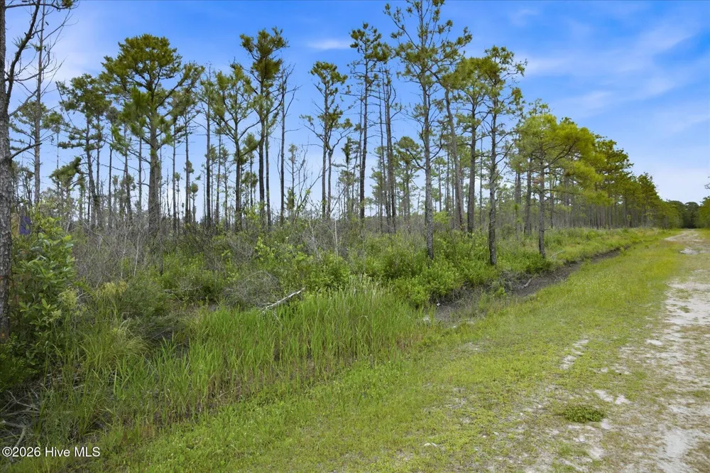 10 Acres Address Tbd Boiling Spring Lakes, NC 28461