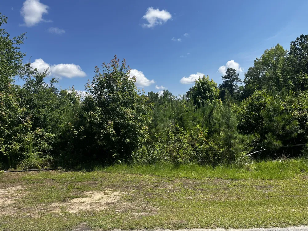 0 Young Street Wrens, GA 30833