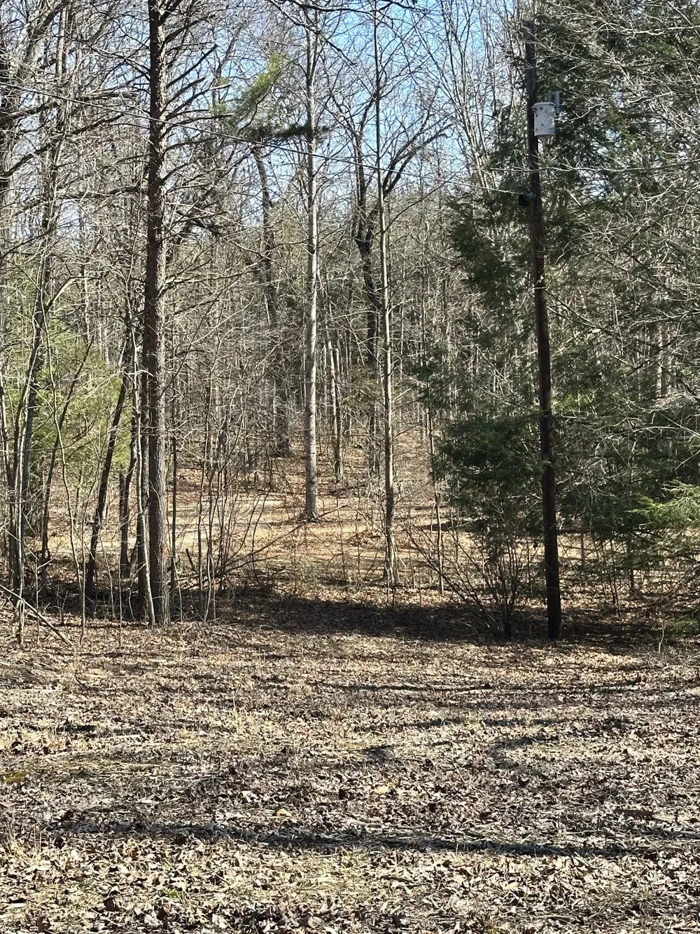 417 Lewis Rd McMinnville, TN 37110
