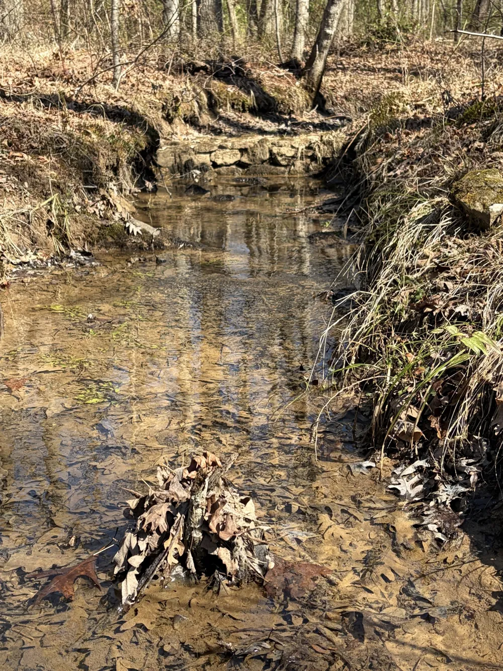417 Lewis Rd McMinnville, TN 37110