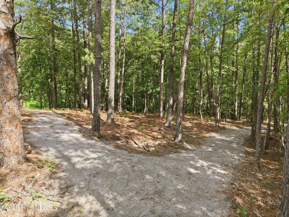 163 Michter Street Vass, NC 28394