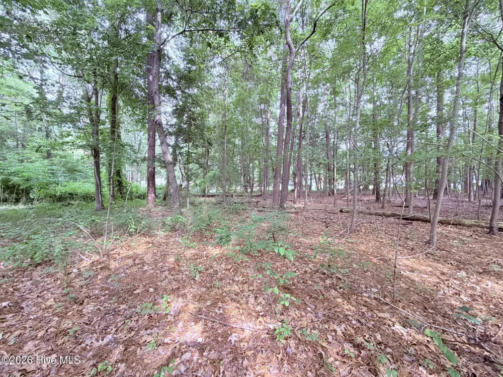 73 Laurel Street Hertford, NC 27944