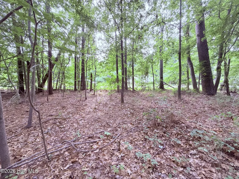 73 Laurel Street Hertford, NC 27944