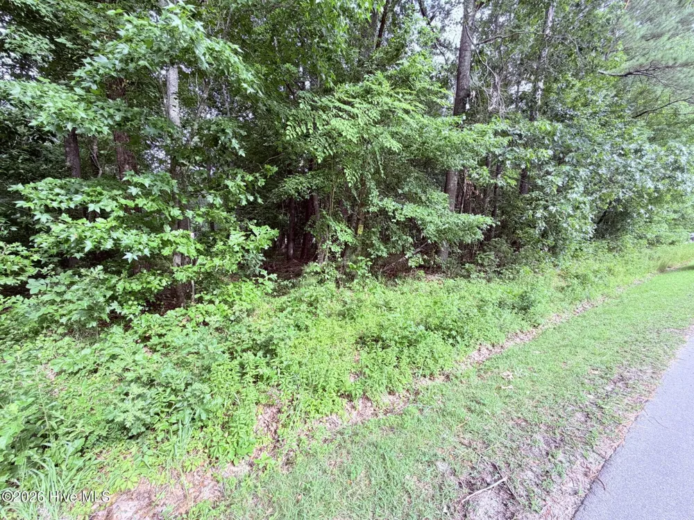 73 Laurel Street Hertford, NC 27944