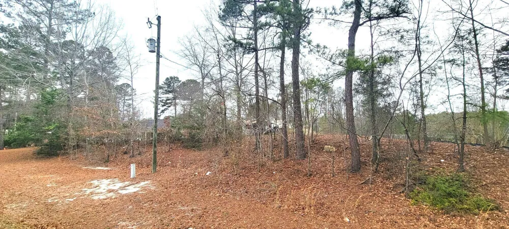 2409 Willis Foreman Road Hephzibah, GA 30815