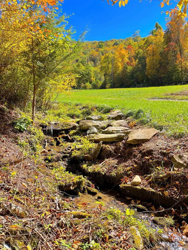 575 Vestal Cochran Road Topton, NC 28781