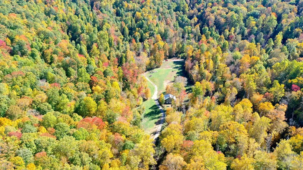 575 Vestal Cochran Road Topton, NC 28781