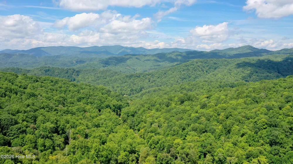 575 Vestal Cochran Road Topton, NC 28781