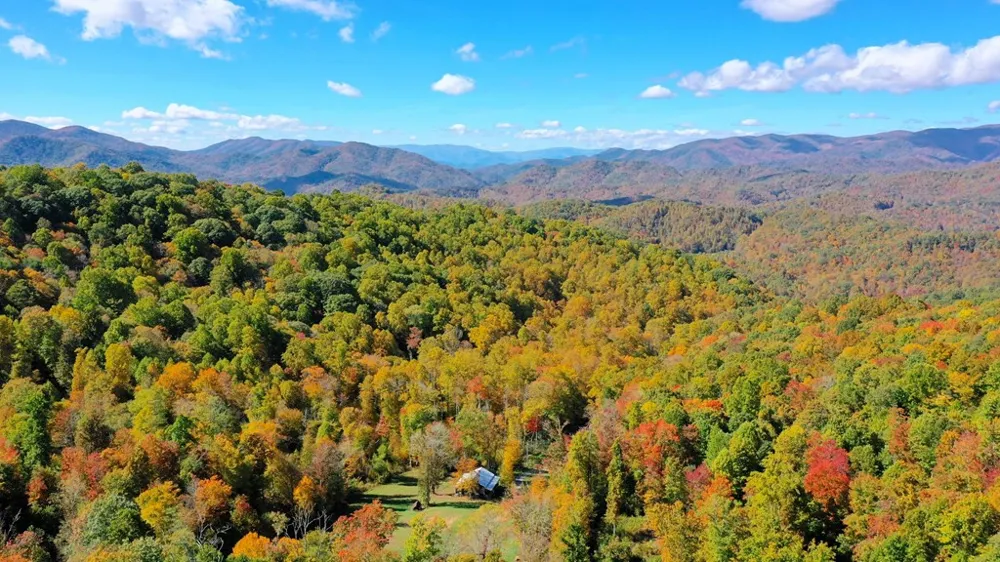 575 Vestal Cochran Road Topton, NC 28781