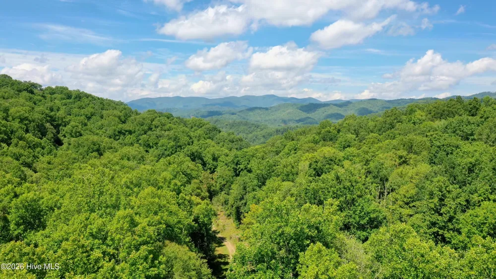 575 Vestal Cochran Road Topton, NC 28781