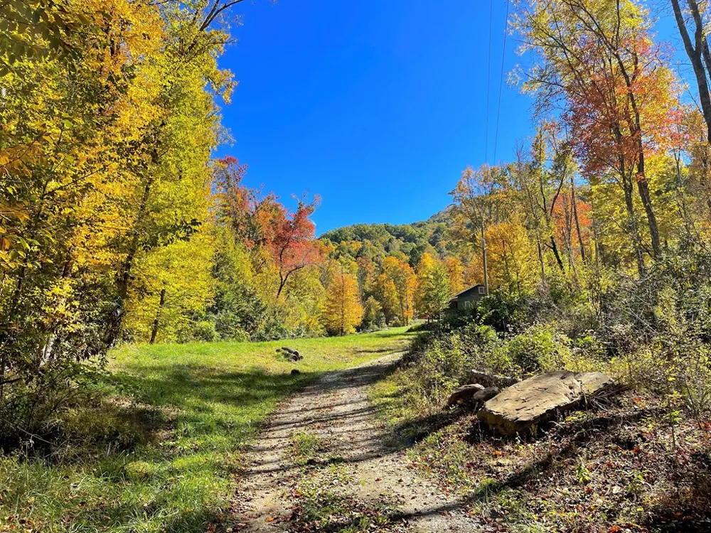 575 Vestal Cochran Road Topton, NC 28781