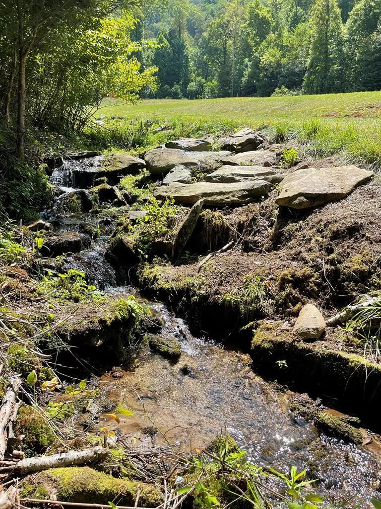 575 Vestal Cochran Road Topton, NC 28781