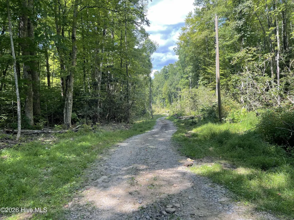 575 Vestal Cochran Road Topton, NC 28781