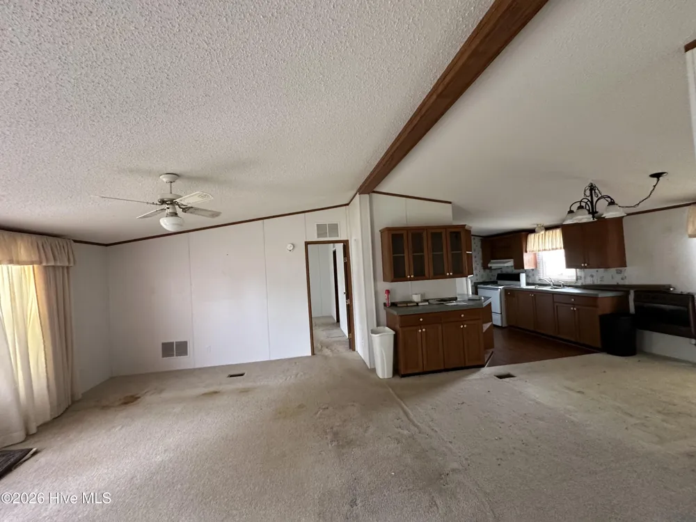113 Carlyle Askew Drive Ahoskie, NC 27910