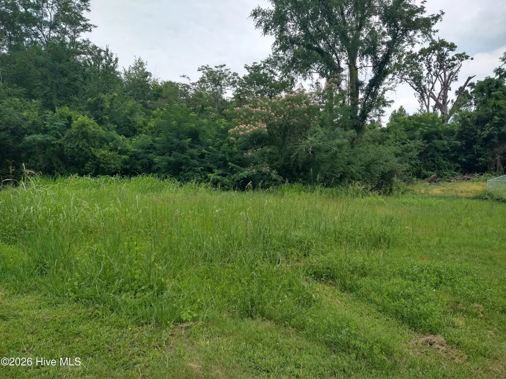 2231 Birnam Place Augusta, GA 30904