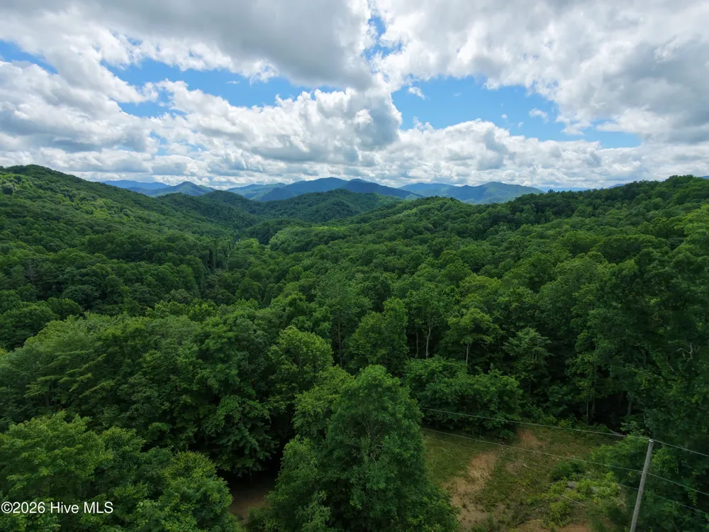 185 Joyces Topton, NC 28781