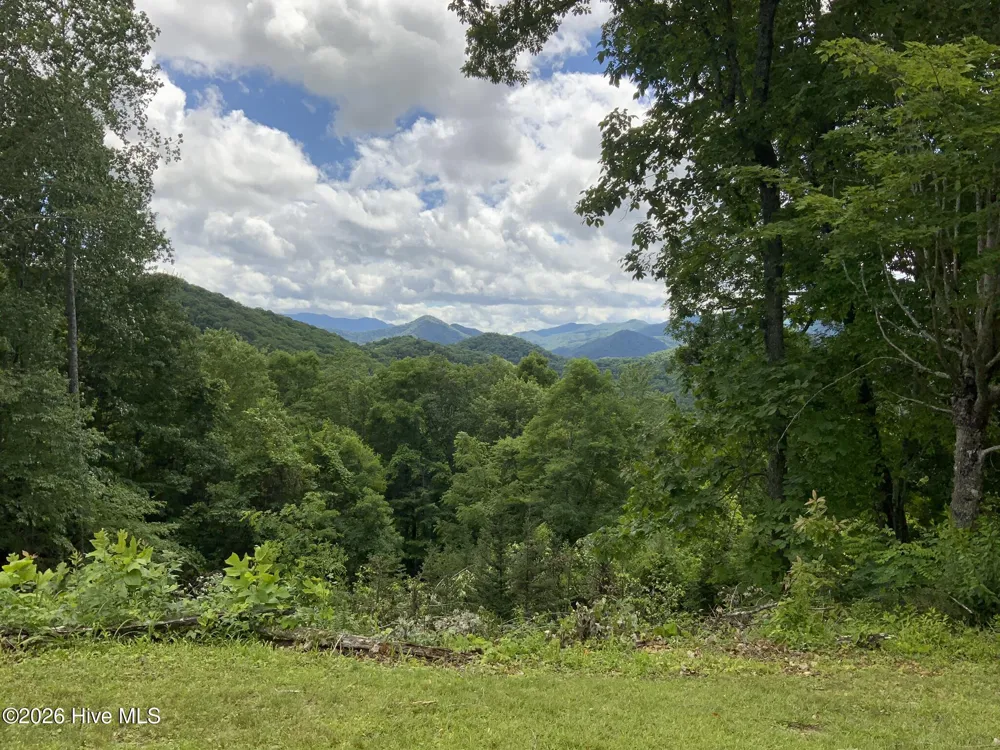 185 Joyces Topton, NC 28781