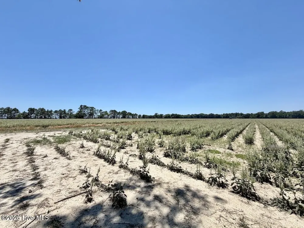 500 Indian Trail Road Edenton, NC 27932