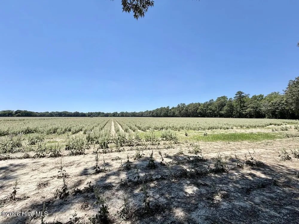 500 Indian Trail Road Edenton, NC 27932