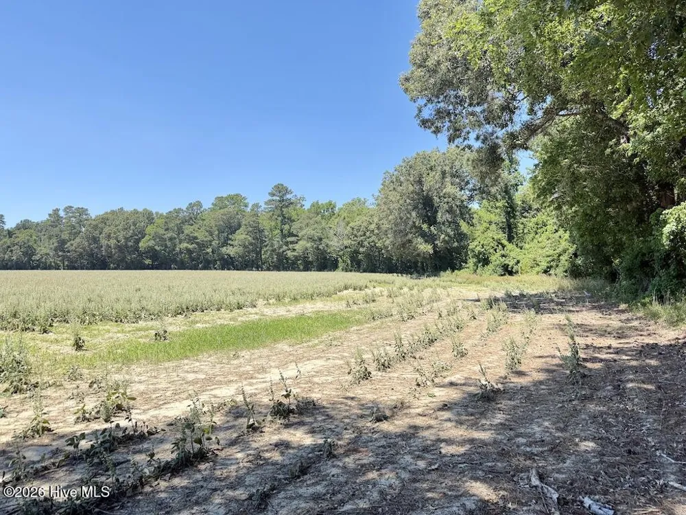 500 Indian Trail Road Edenton, NC 27932