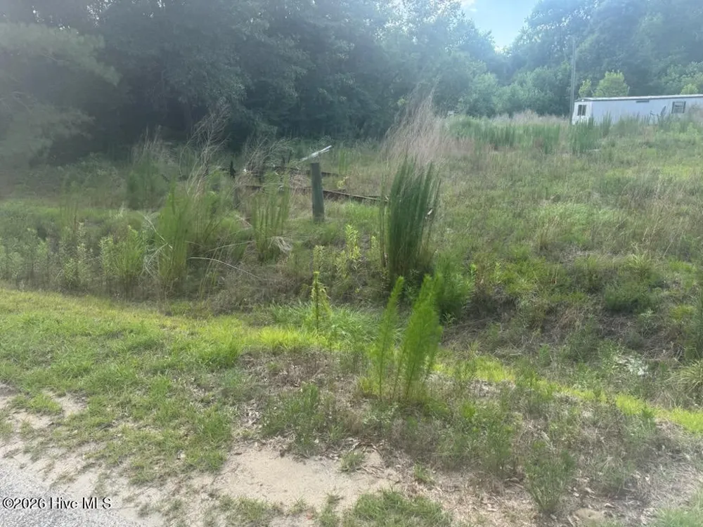 447 Jimmy Road Magnolia, NC 28453