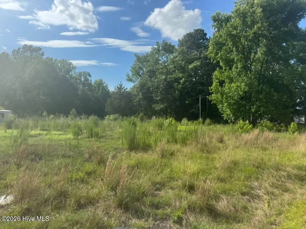 447 Jimmy Road Magnolia, NC 28453