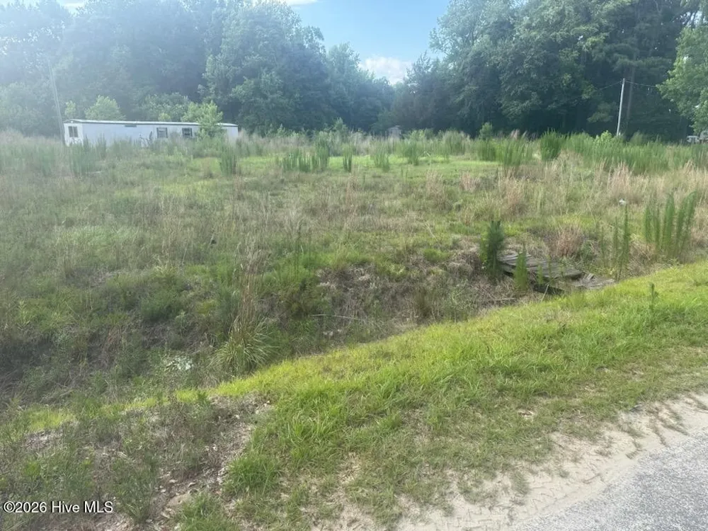 447 Jimmy Road Magnolia, NC 28453