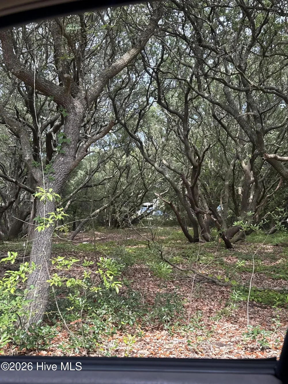 2391 Sandpiper Road Corolla, NC 27927