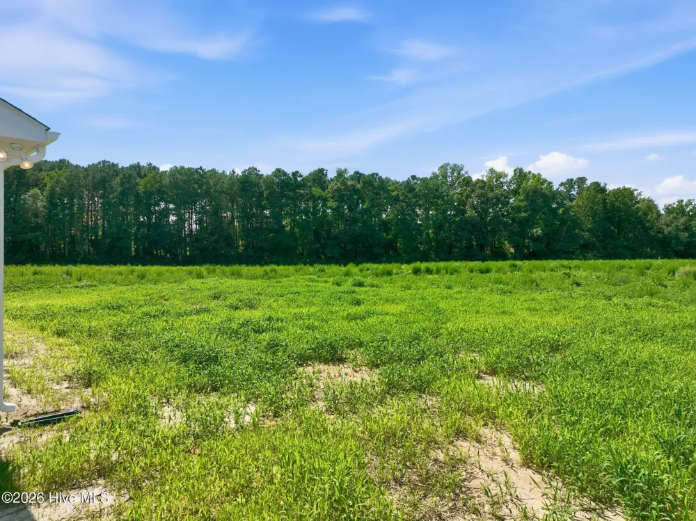 3517 Old Wire (Lot 1) Road Shannon, NC 28386
