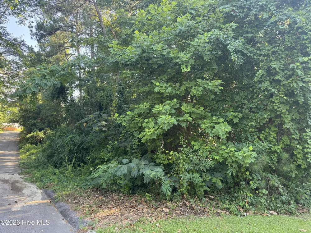 201 Shaw Road Hamlet, NC 28345