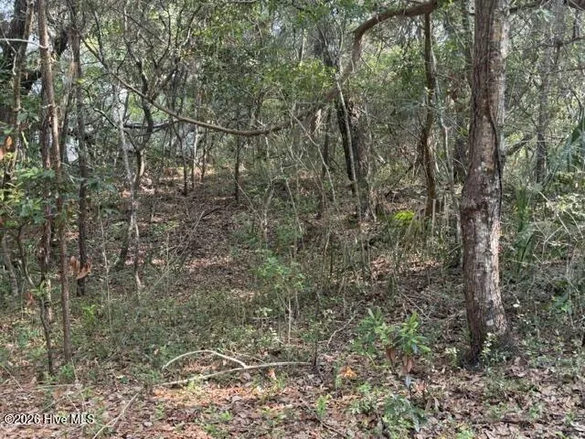 6 Colonel William Rhett Trail Bald Head Island, NC 28461