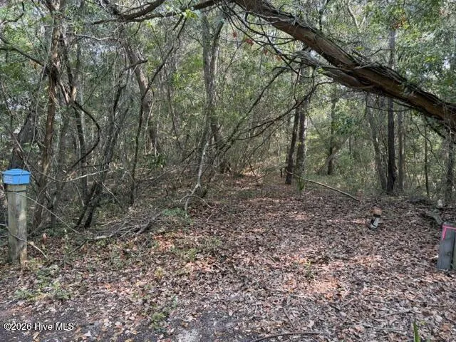6 Colonel William Rhett Trail Bald Head Island, NC 28461