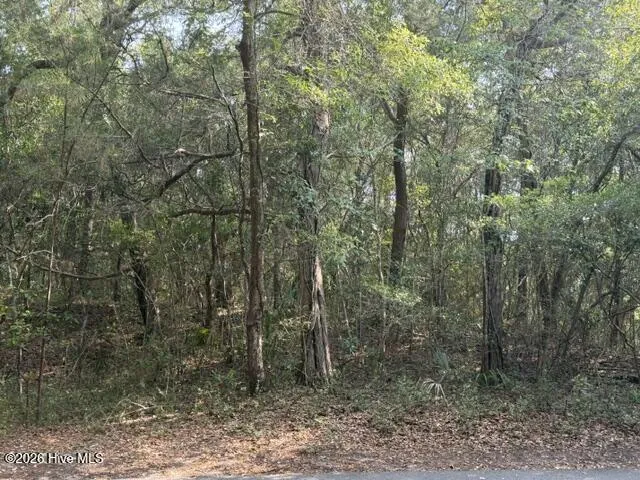 6 Colonel William Rhett Trail Bald Head Island, NC 28461